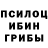 Псилоцибиновые грибы Psilocybe WowBro