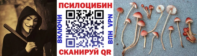 Псилоцибиновые грибы MAGIC MUSHROOMS  как найти закладки  Бахчисарай 